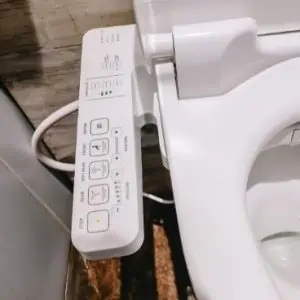 best bidet toilet seat