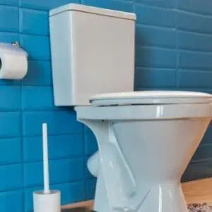 best dual flush toilets