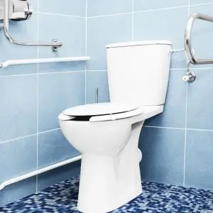 how to flush toilet when water is off